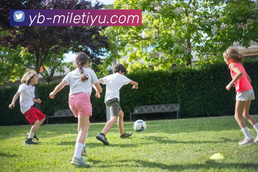 App Interface Preview